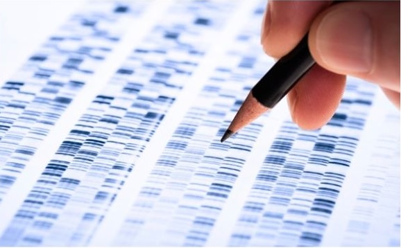 Exome Sequencing