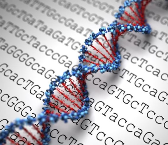 Whole Genome Sequencing